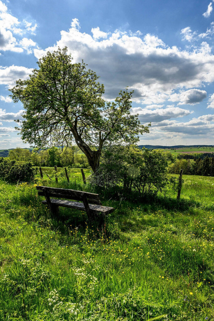 CoW Online - Schoßraum-Aktivierung (04)