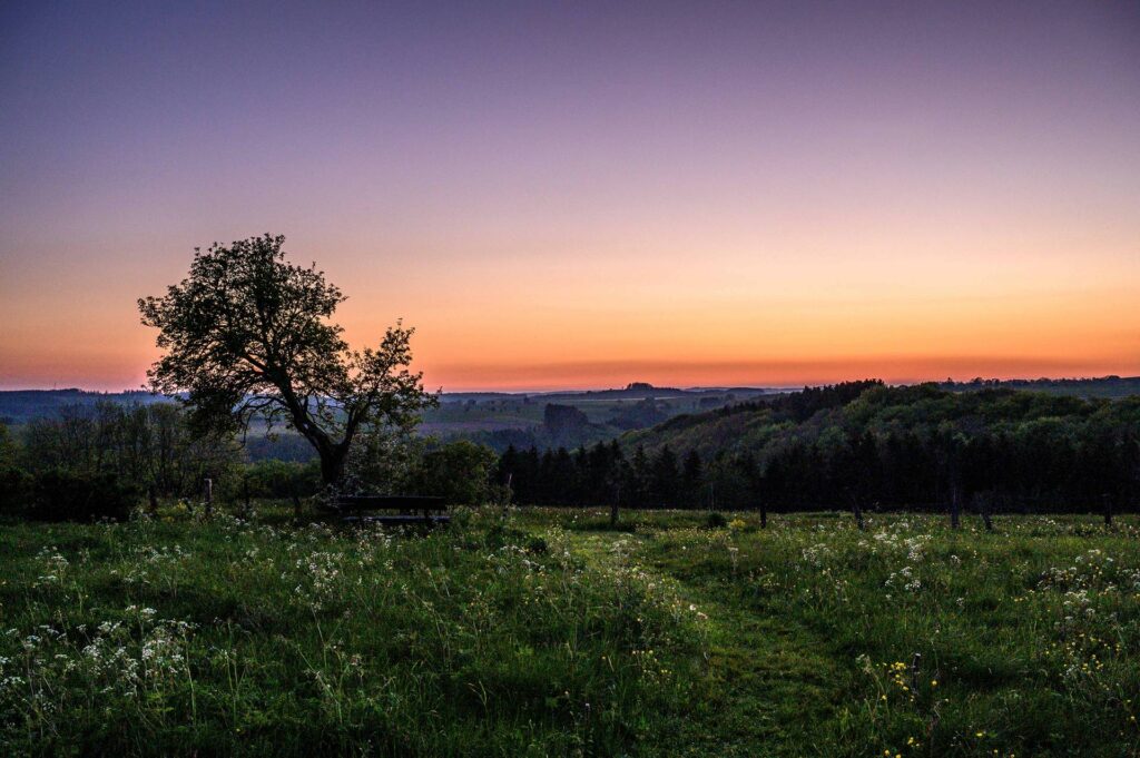 SmC Online - Männerkreis (08)